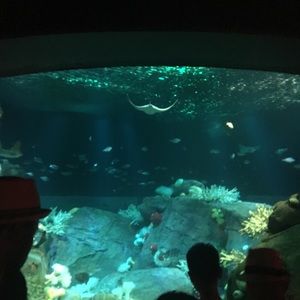 Meet your Posher, Maritza